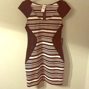Express Dress. Size 10. NWT. Slimming style!